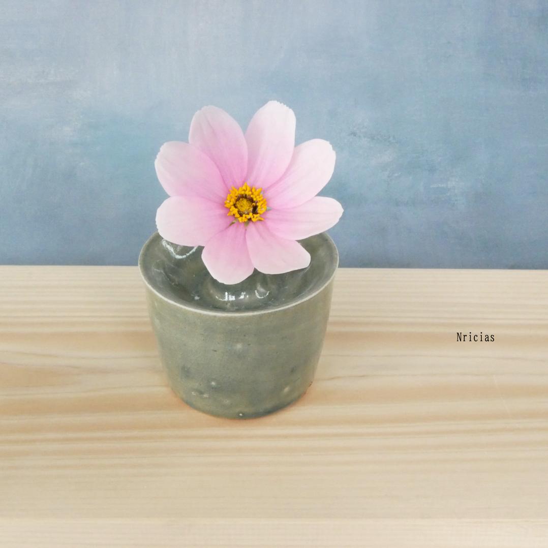 コスモス １本　切花 ピンク 短い ✿クレイフラワーNO.K8-SP