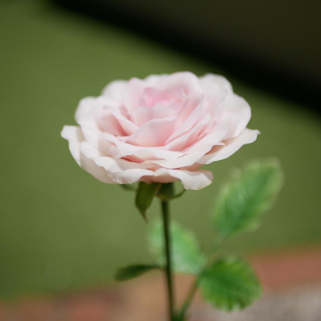 暮らしを彩る一輪 長い pink ✿ NO.H1-pL1枚目の画像