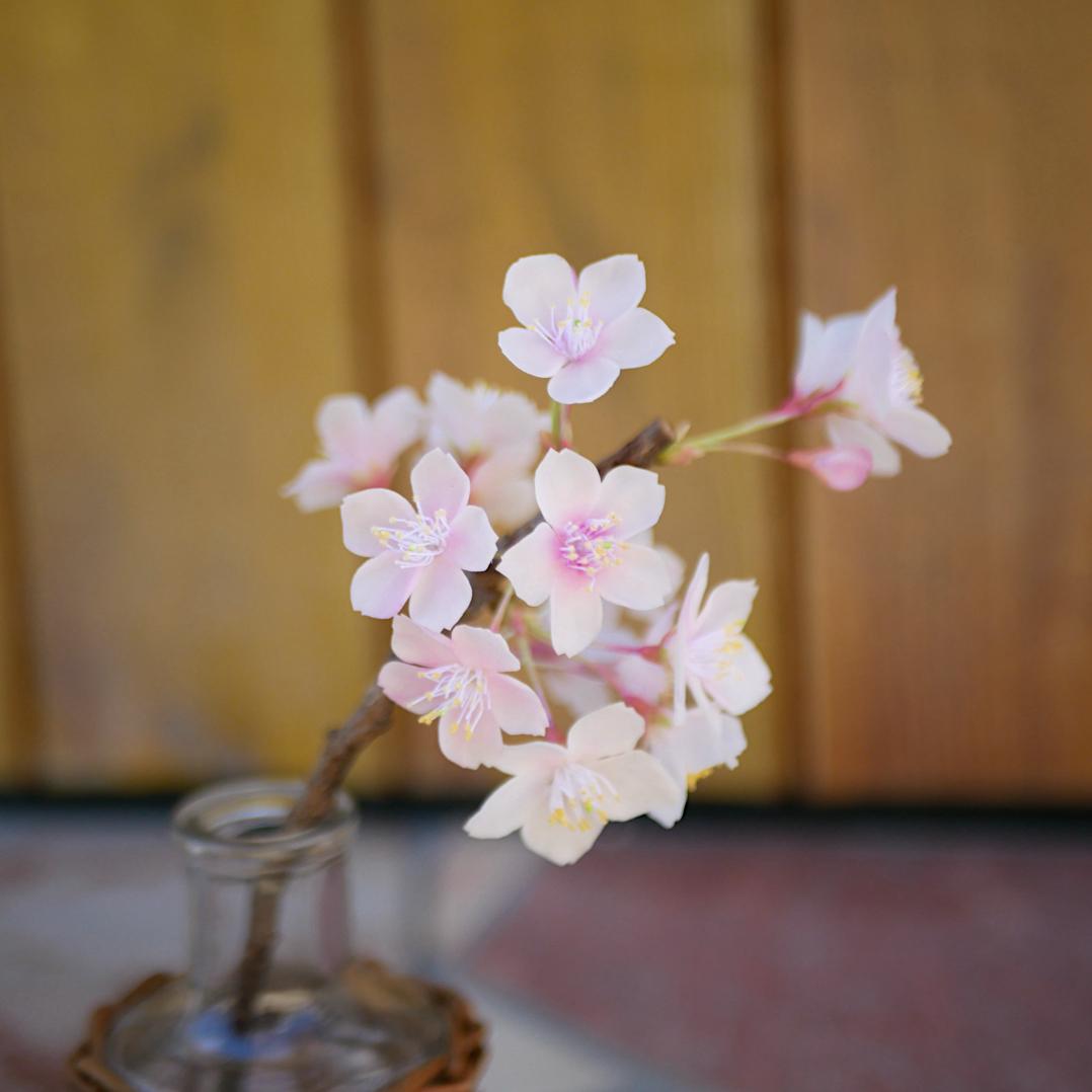 枯れない 桜 M 桜の枝使用 ✿クレイフラワー NO.S3-edaM21枚目の画像