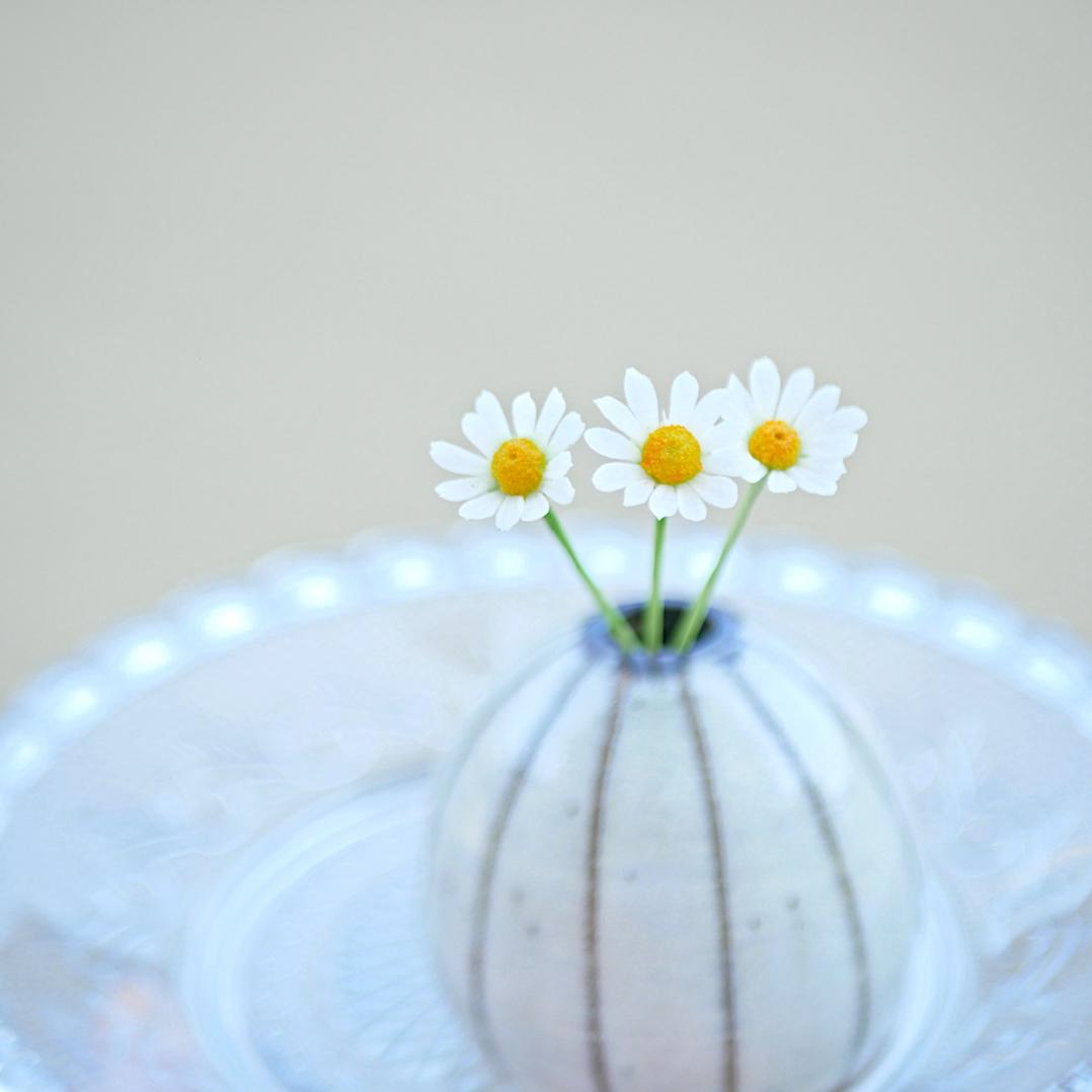 枯れない マトリカリア 短い 3本 Midi ✿クレイフラワーNO.M1ーS31枚目の画像