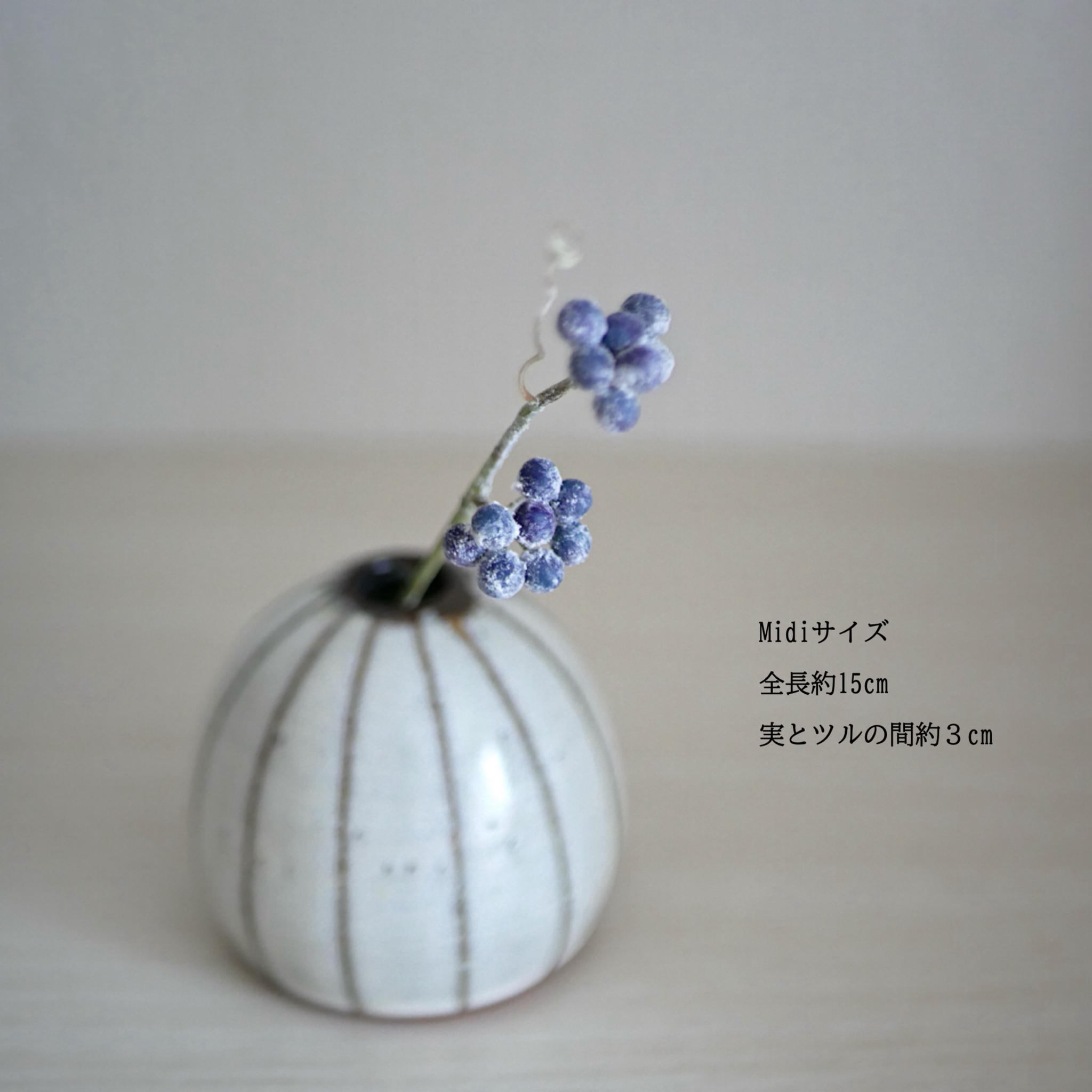 アオツヅラフジ 2種 ✿クレイフラワーNO.A101枚目の画像