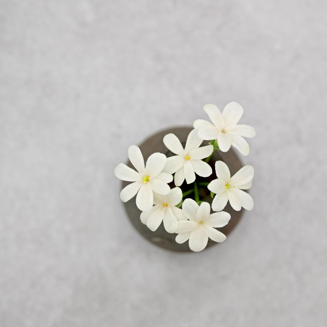 ジャスミン ✿クレイフラワー 花の直径約1.8cm 花びら7枚 NO.S15-31枚目の画像