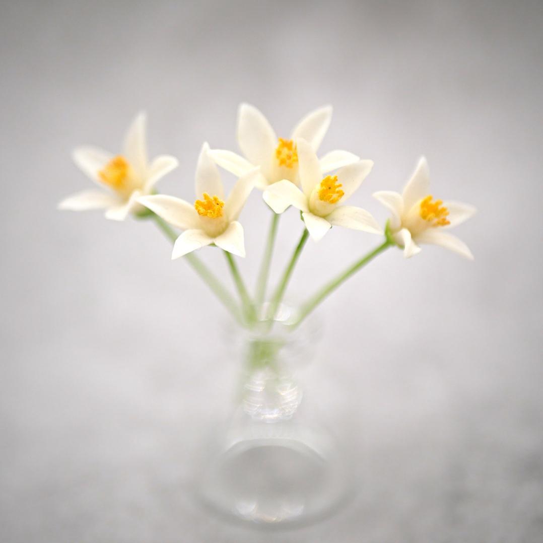 ネロリ 5個 クレイフラワー 撮影用1枚目の画像