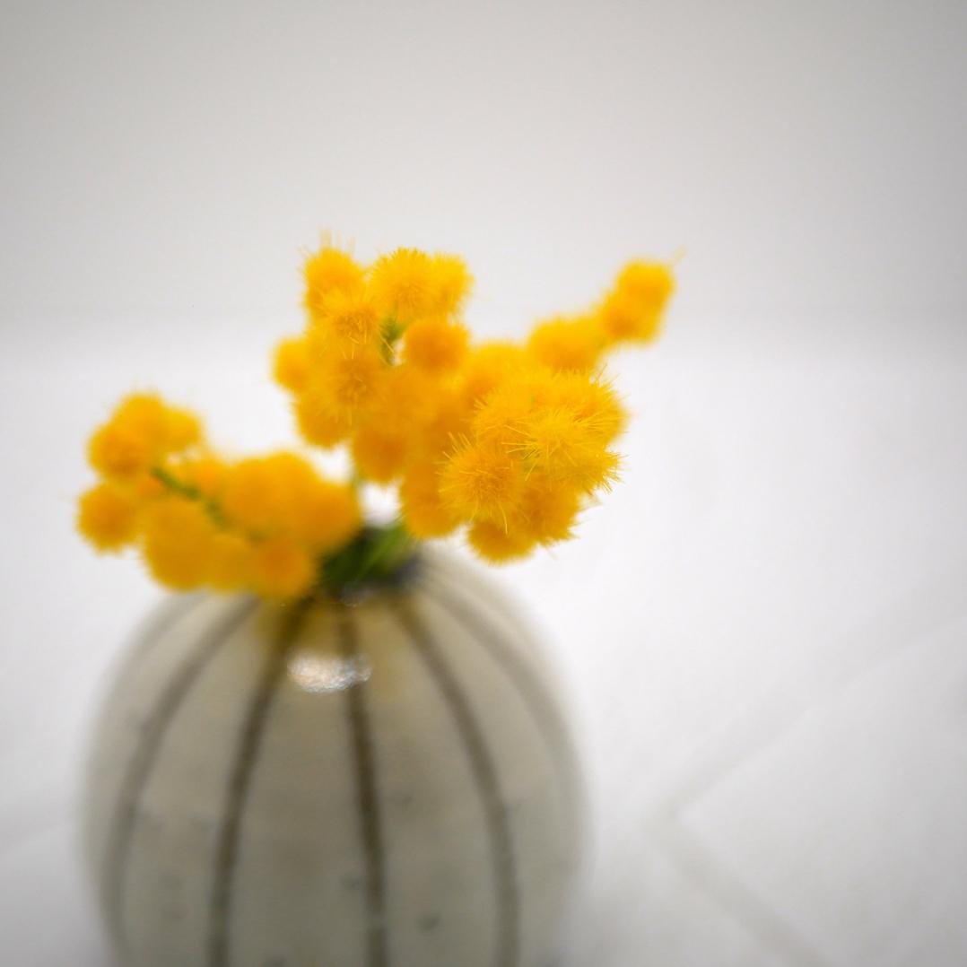 ミモザ クレイフラワー 撮影用 M6-4S1枚目の画像